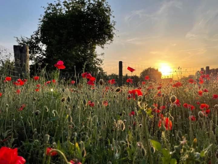 De Lokroep Heers Extérieur photo